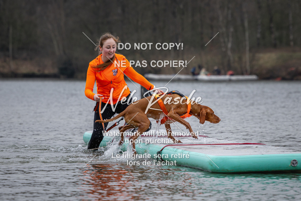 nelerasche_Hulsbeek_Sa1600-1700_36 | nelerasche