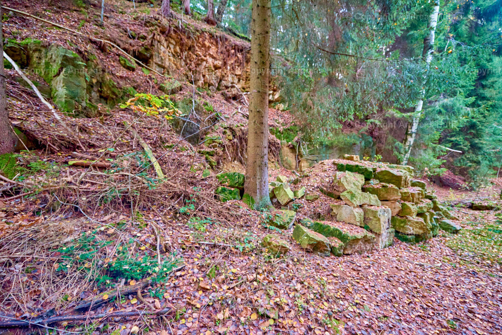 FHG Grillenburger Sandsteinbruch_ Quelle für Goldene Pforte am Freiberger Dom 07 | Bedeutsame Landschaften Deutschlands - Realisiert mit Pictrs.com