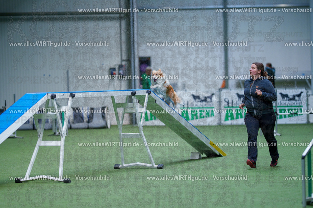 @allesWIRTHgut_Tierfotografie - www.allesWIRTHgut.de - 2604260920-7R507363 | Professionelle Tierfotografie in Mönchengladbach von Daniel Wirth (allesWIRTHgut). Liebevolle & natürliche Bilder von Hunden & Katzen für unvergessliche Erinnerungen.