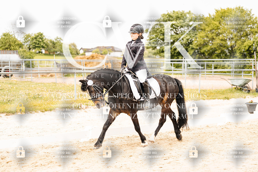 CK904212 | Turnierfotografie Pferdefotografie Trier Rheinland-Pfalz Pferdesport Reitsport Tierfotografie Sportfotografie Pferdevideo Pferdevideografie Equestrianvideography equestrianphotography  - Realisiert mit Pictrs.com