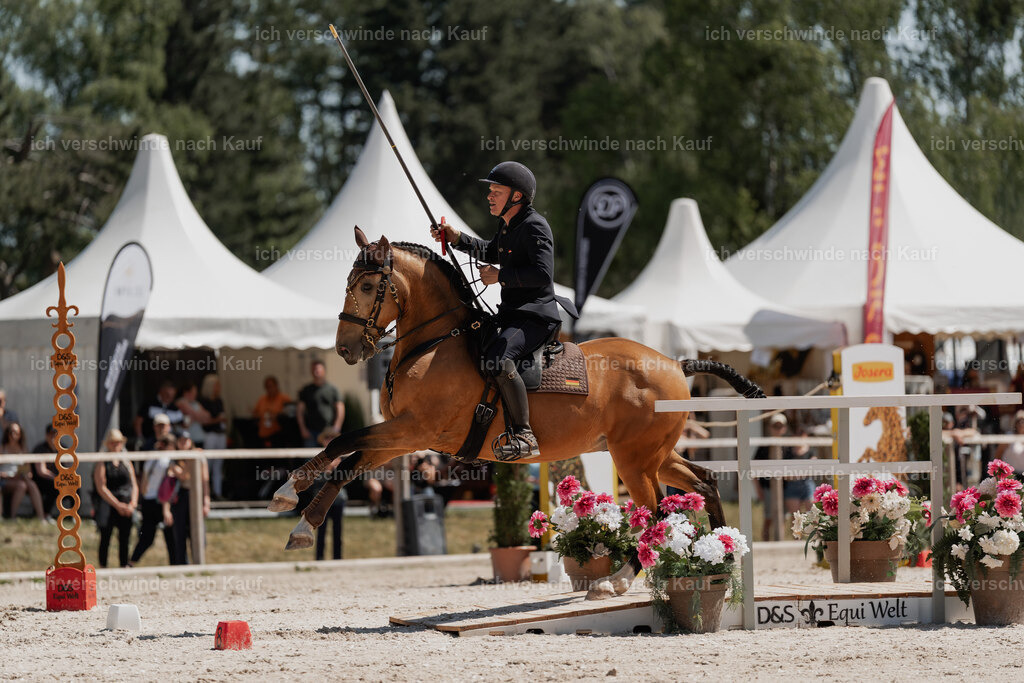 WE_SP_Stoib_311_PI2025_1677 | Pferd International München 2025