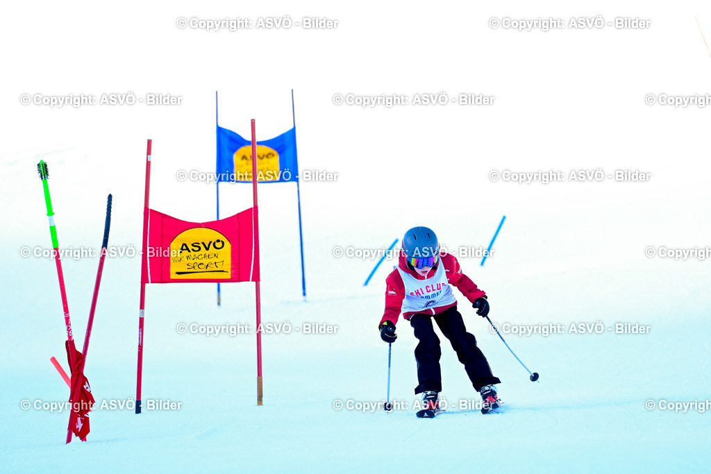ASVÖ_ Skitrophy 2025_ 02.02.2025-77 | 02.02.2022, Hinterstoder, AUT, ASVÖ, Skitrophy 2025 im Bild Teilnehmer©Harald Dostal / fodo.media - Realisiert mit Pictrs.com