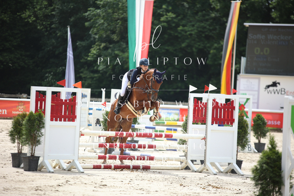 IMGS0458 | pl-fotografie