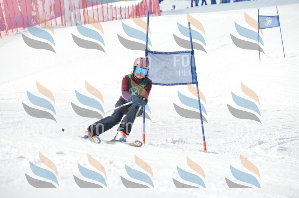 D8870 | holidayphoto