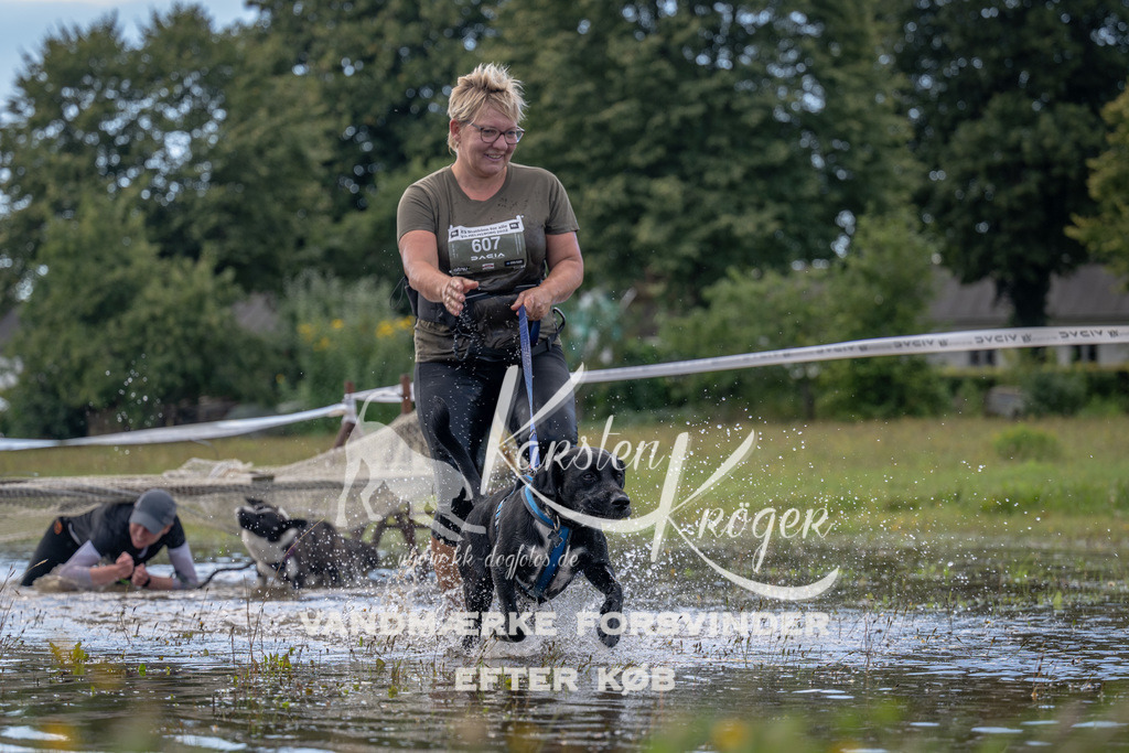 1305_ZZ90125 | kk-dogfotos