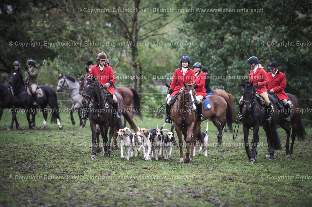 20241013_Jagd-Marbach_0165 | Foto: Thomas Hartig