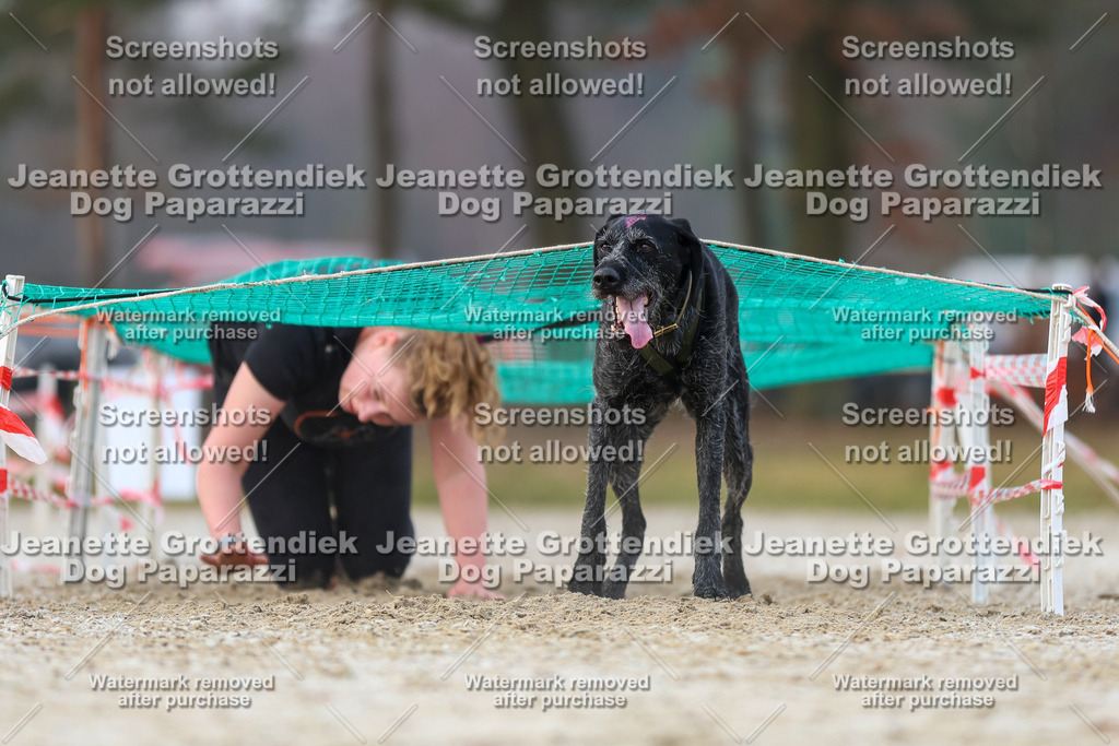 Dog Paparazzi - Strongdog North Mrz26-3697 | Dog Paparazzi Jeanette Grottendiek Fotografie & Videografie - Realisiert mit Pictrs.com