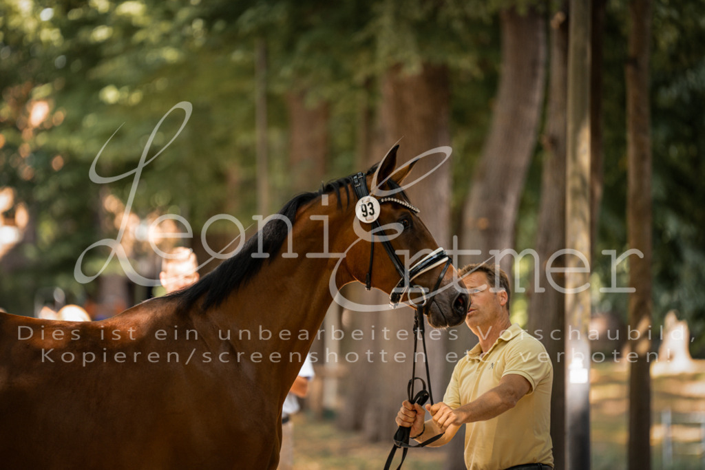 FrPfM00239 | Leoni Ertmer Photography - Realisiert mit Pictrs.com