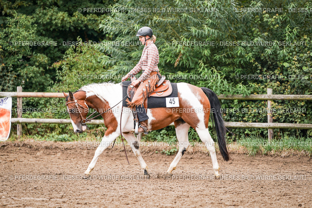 DSC04068 | Pferdegrafie