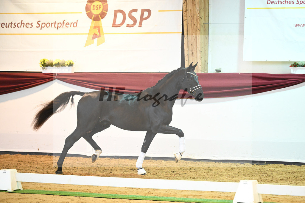 Kat-Nr. 65 v. De Niro Gold_Rohrmoser_66222264 | hf-fotografie - Realisiert mit Pictrs.com