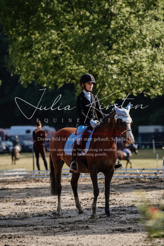 DSC_7782 | Pferde- und Turnierfotografie in Westsachsen. Pferdeportraits, Auftragszeichnungen und intuitive Kunst.