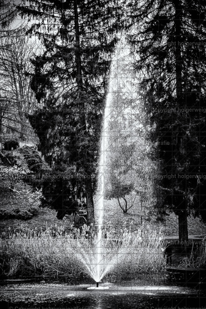 2025020914532320250209145323D75_8730-2-Bearbeitet | Kaufen sie online außergewöhnliche Fotografien auf Leinwand Acrylglas Fotoprint Aludibond von holgerweigeltfotografie - Realisiert mit Pictrs.com