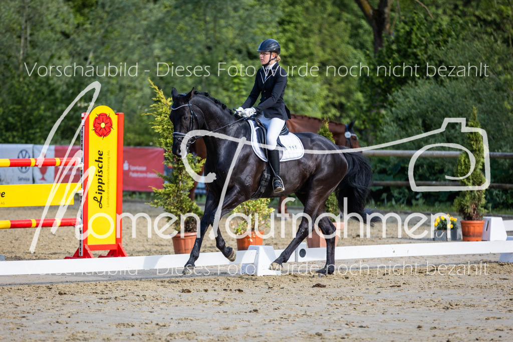 Donop24-A-Dre-062 | MomenTaufnahmen Pferdesportfotos