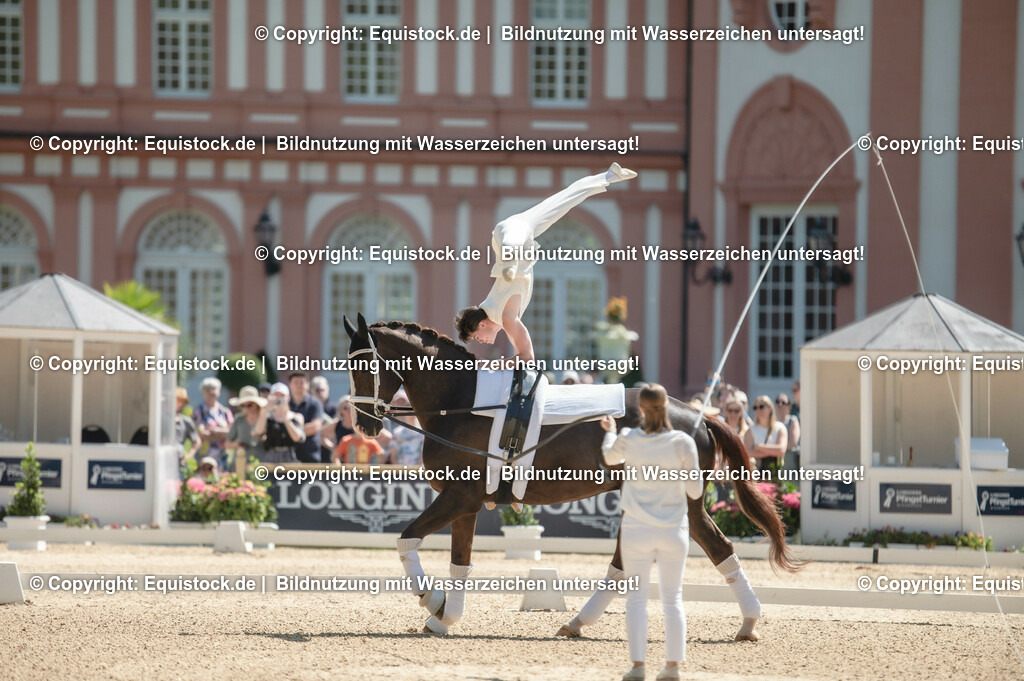 20230528_Voltigieren_NASPA_0070 | equistock