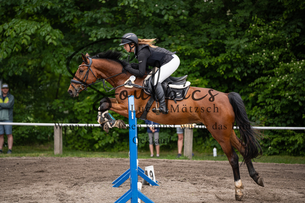 A7V03935 | Pferdefotograf