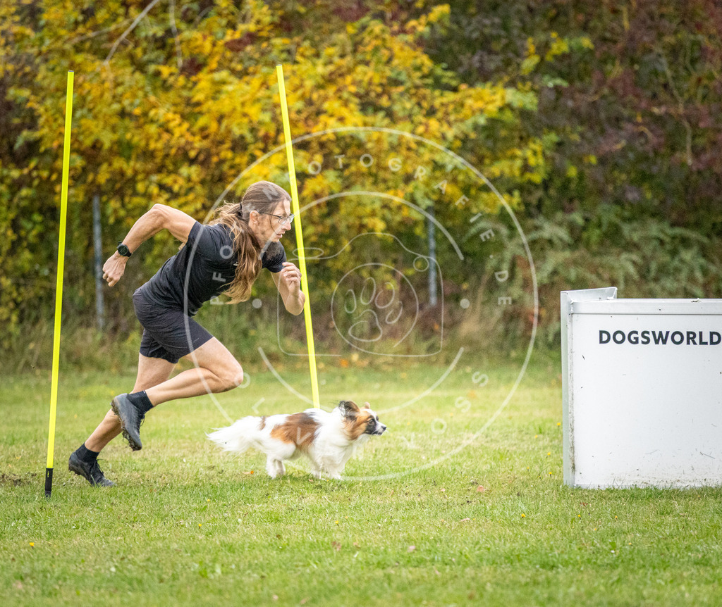 Pfotenfotografie_DV3A0747 | Hundefotografie, Tierfotograf, Pfotenfotografie, Fotoshooting Hund, Hunde Portrait, Hundesport, Hundeportraits, Heideshooting, Hunde, Sportfotograf, Hundefotograf, Turnierhundsport, THS,  - Realisiert mit Pictrs.com