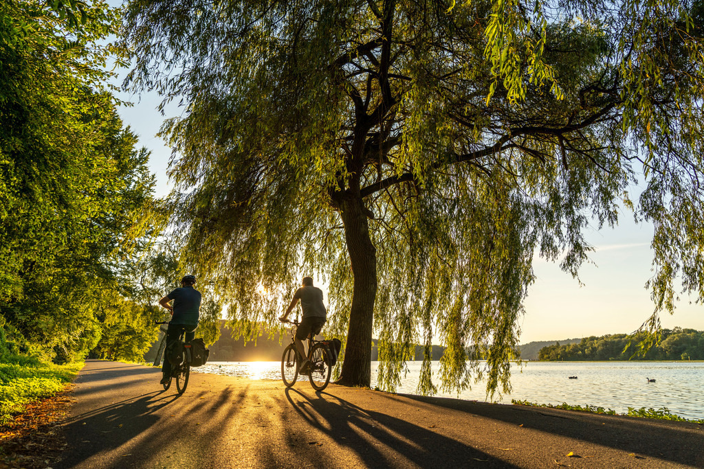 JT-220809 | Radfahren am Baldeneysee,  rund 14 Kilometer Rundkurs um den Ruhrstausee, sommerlicher Abend am Ostufer,  Essen,  NRW, Deutschland,  - Realisiert mit Pictrs.com