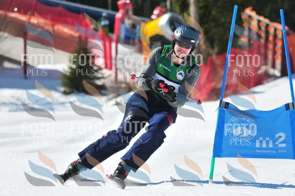 C4401 | holidayphoto