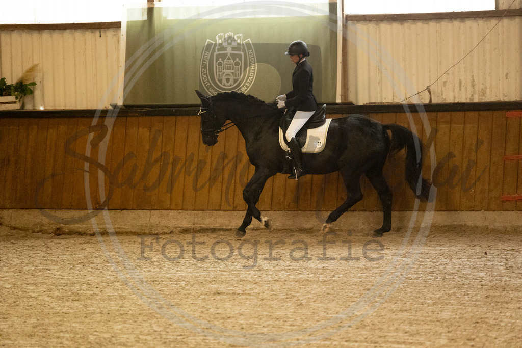 994A3355 | sabrinanicolaifotografie - Realisiert mit Pictrs.com