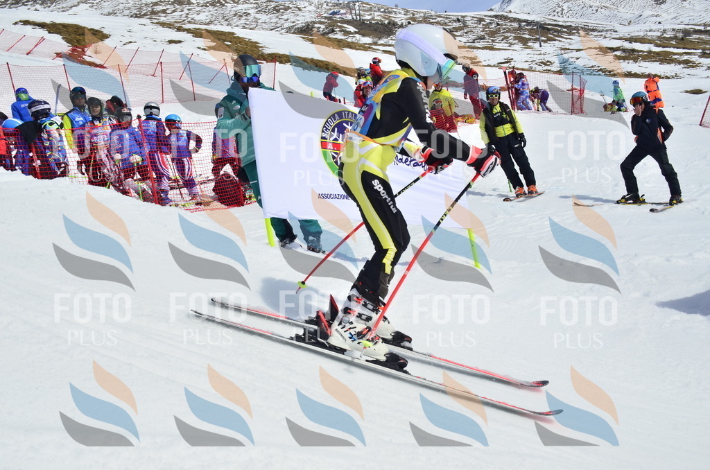 _ELE1528 | holidayphoto