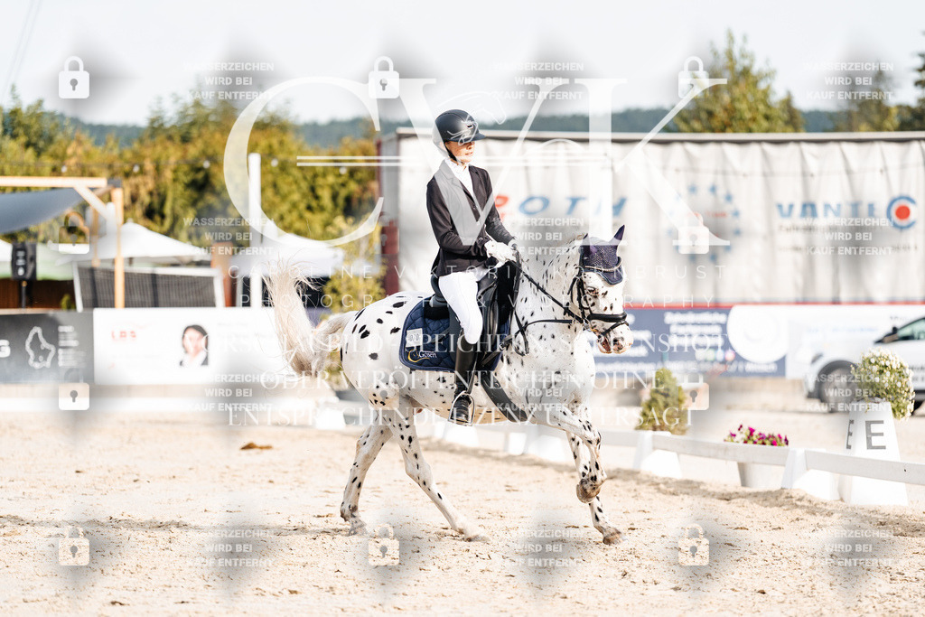 CK904407 | Turnierfotografie Pferdefotografie Trier Rheinland-Pfalz Pferdesport Reitsport Tierfotografie Sportfotografie Pferdevideo Pferdevideografie Equestrianvideography equestrianphotography  - Realisiert mit Pictrs.com