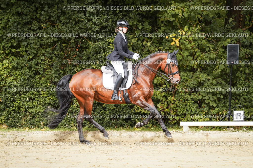 DSC02001 | Pferdegrafie