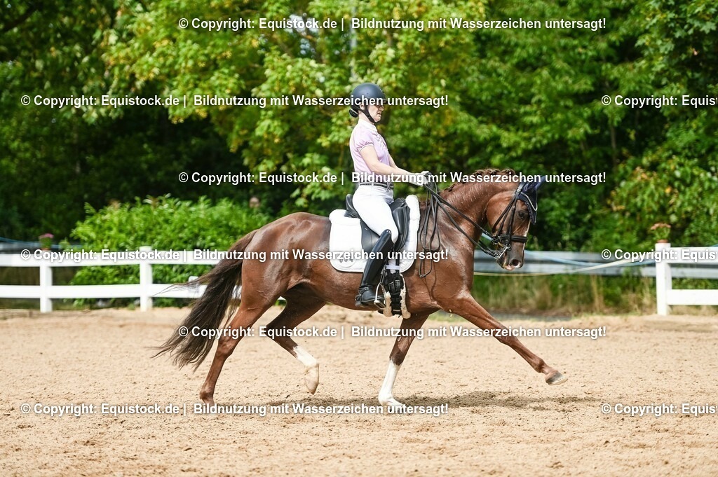 20230716_01_Dressurprüfung Kl.M_0400 | equistock