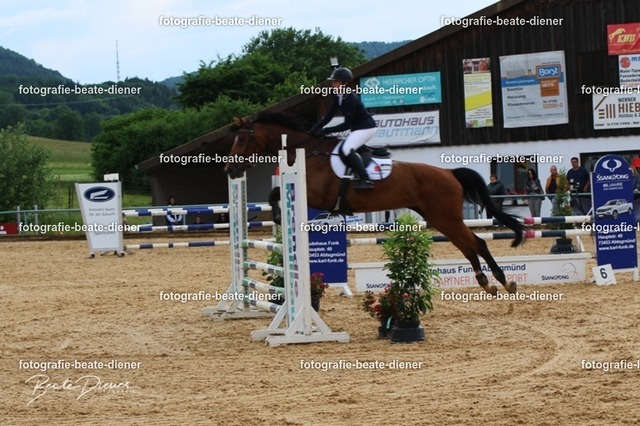 OHT1561 | Fotografie, Tiere, Hunde, Katzen, Pferde, Sportfotografie, Fotosession, Tierfotografie, Turnierfotografie, Fotografin, Fotograf - Realisiert mit Pictrs.com