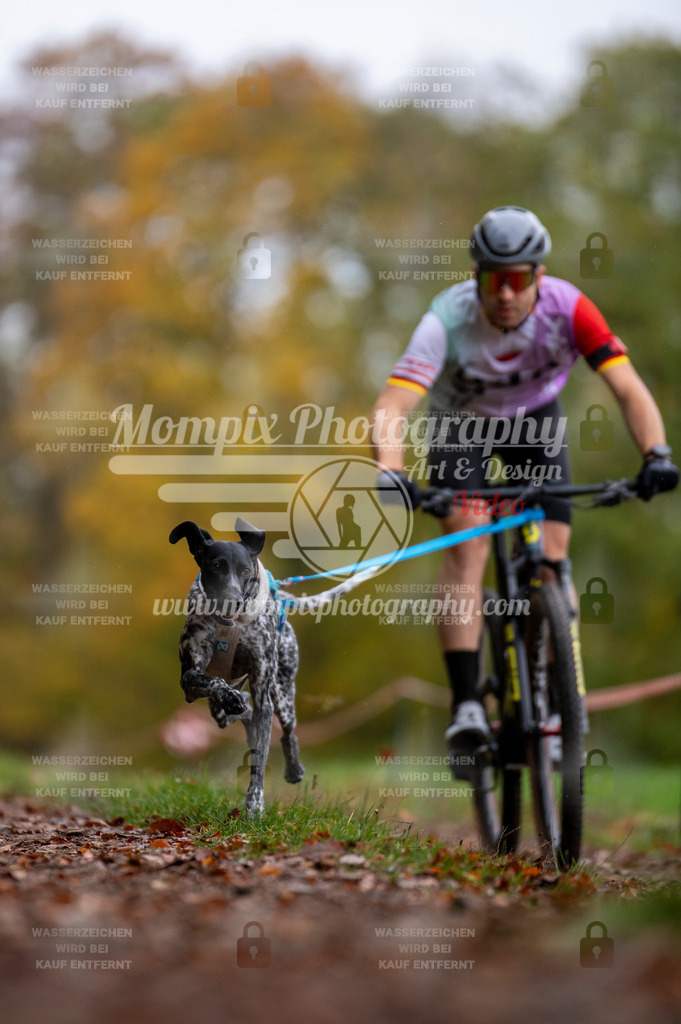 DBT_DAKM_SA_4_11_2023_Bike-8 | PayLife