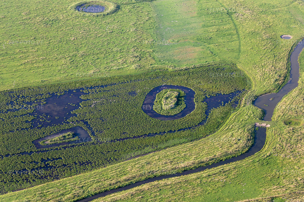 Luftbild: Naturschutzgebiet Oldensworter Vorland an der Eider im Ortsteil Hemmerdeich in Oldenswort im Bundesland Schleswig-Holstein in Deutschland. Foto: IMG_0007255.jpg vom 16.07.2021 durch Werner Riehm/FLY-FOTO.de