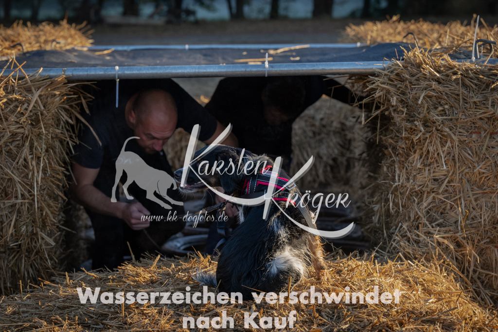 0906_ZZ91247 | kk-dogfotos