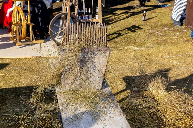 Bärentreiben in Steuerberg | Bildershop von pixelworld.at - Realisiert mit Pictrs.com