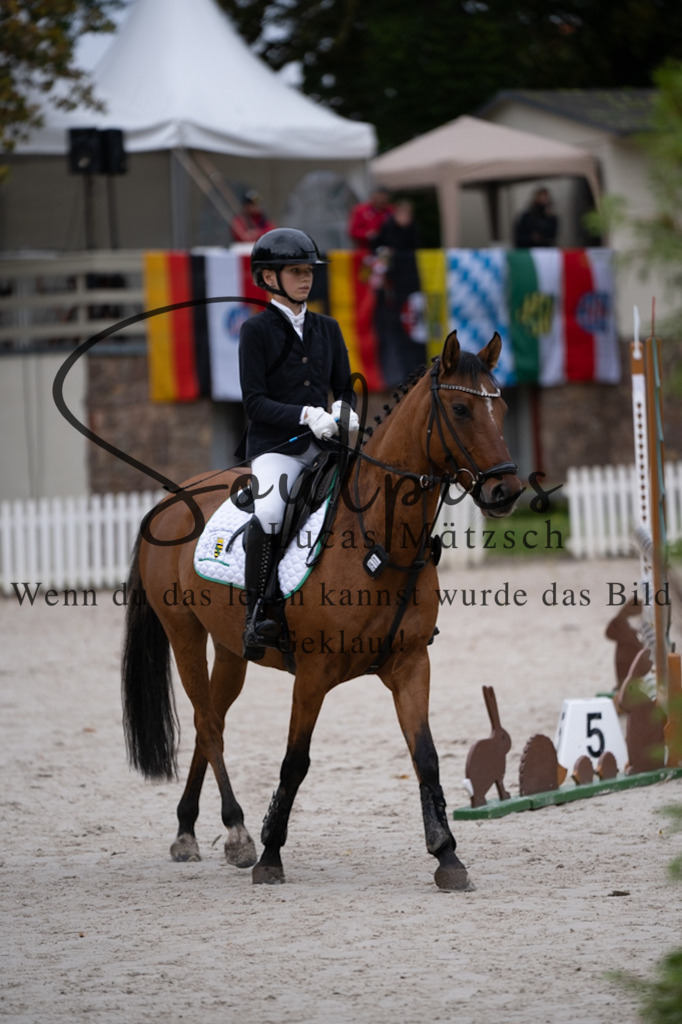 A7V07638 | Pferdefotograf