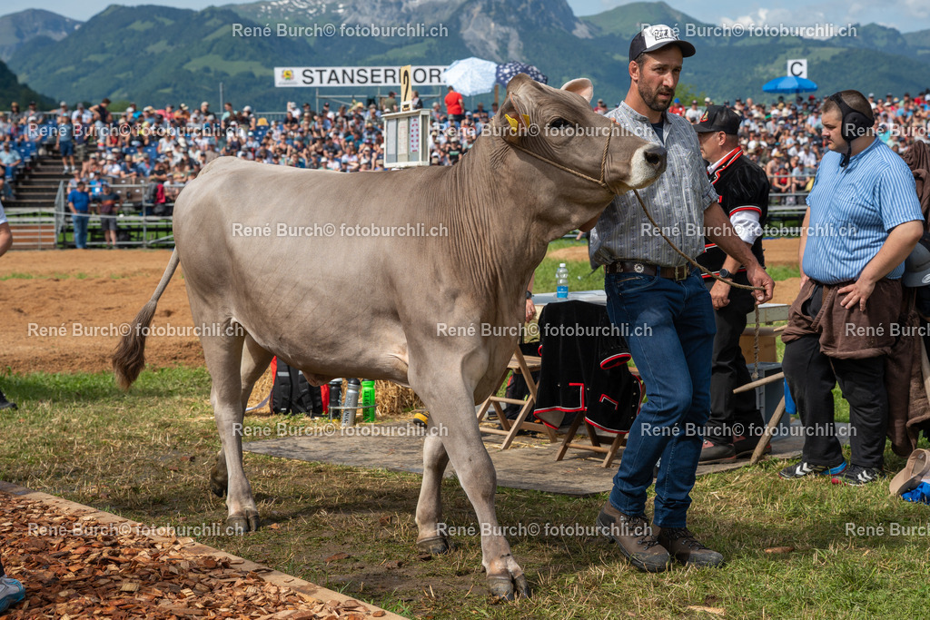RB_02445 | René Burch leidenschaftlicher Fotograf aus Kerns in Obwalden.  Hier finden sie Sport, Landschaft und Natur Fotografie.
 - Realisiert mit Pictrs.com