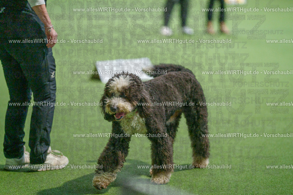 7R508041 | Professionelle Tierfotografie in Mönchengladbach von Daniel Wirth (allesWIRTHgut). Liebevolle & natürliche Bilder von Hunden & Katzen für unvergessliche Erinnerungen.