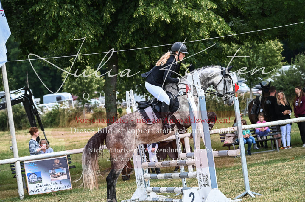 DSC_8365 | Pferde- und Turnierfotografie in Westsachsen. Pferdeportraits, Auftragszeichnungen und intuitive Kunst.