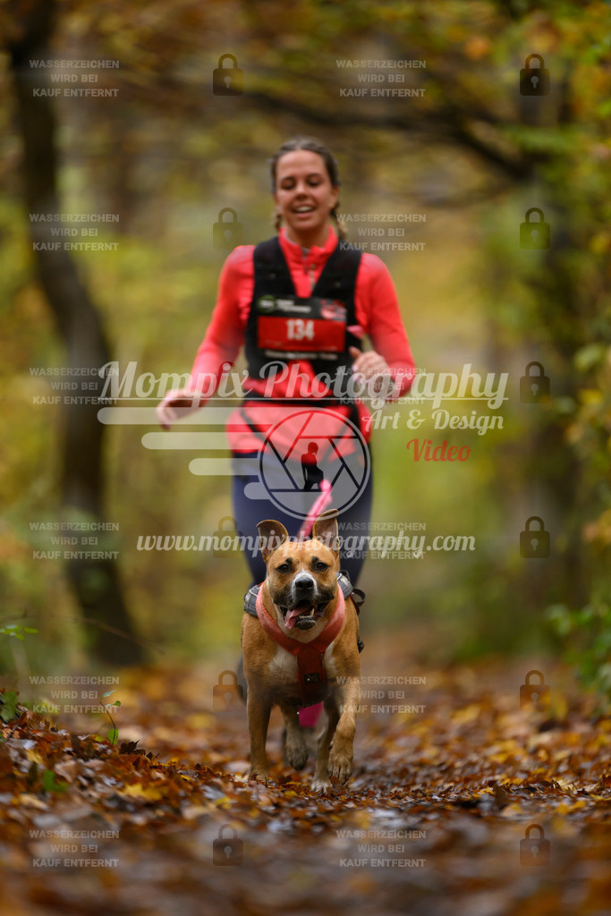 MompixPhotography_CD7S_DI_CCL-128 | mompixphotography