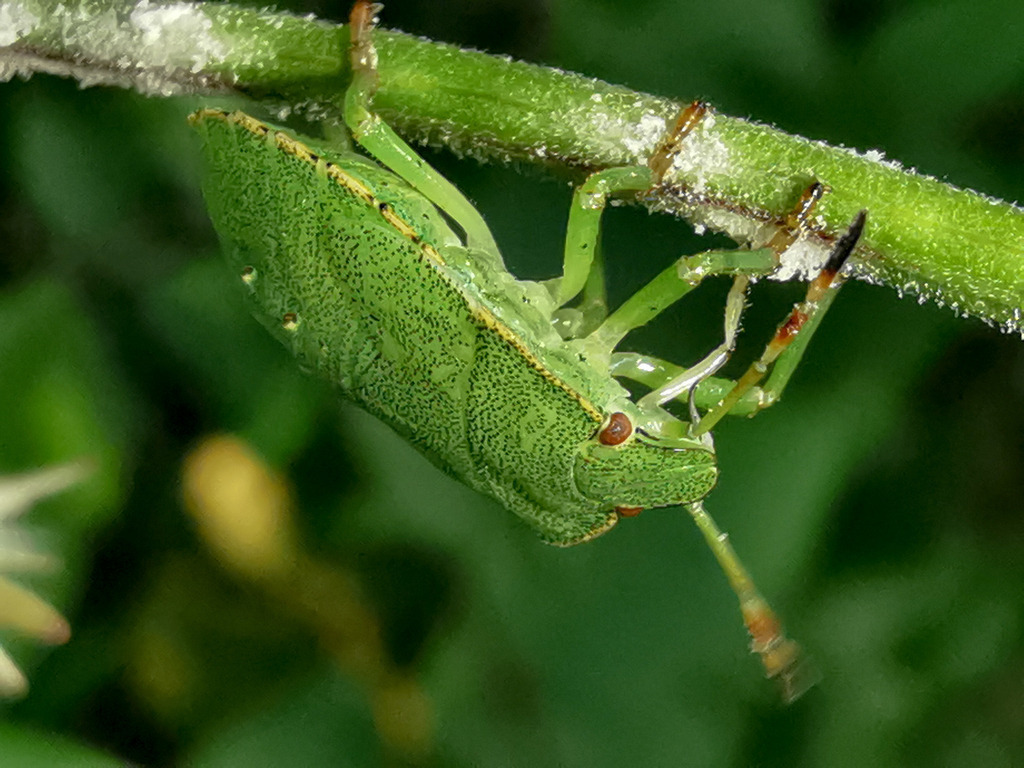 PSX_20230818_232052 | mtkfoto_ - Realisiert mit Pictrs.com