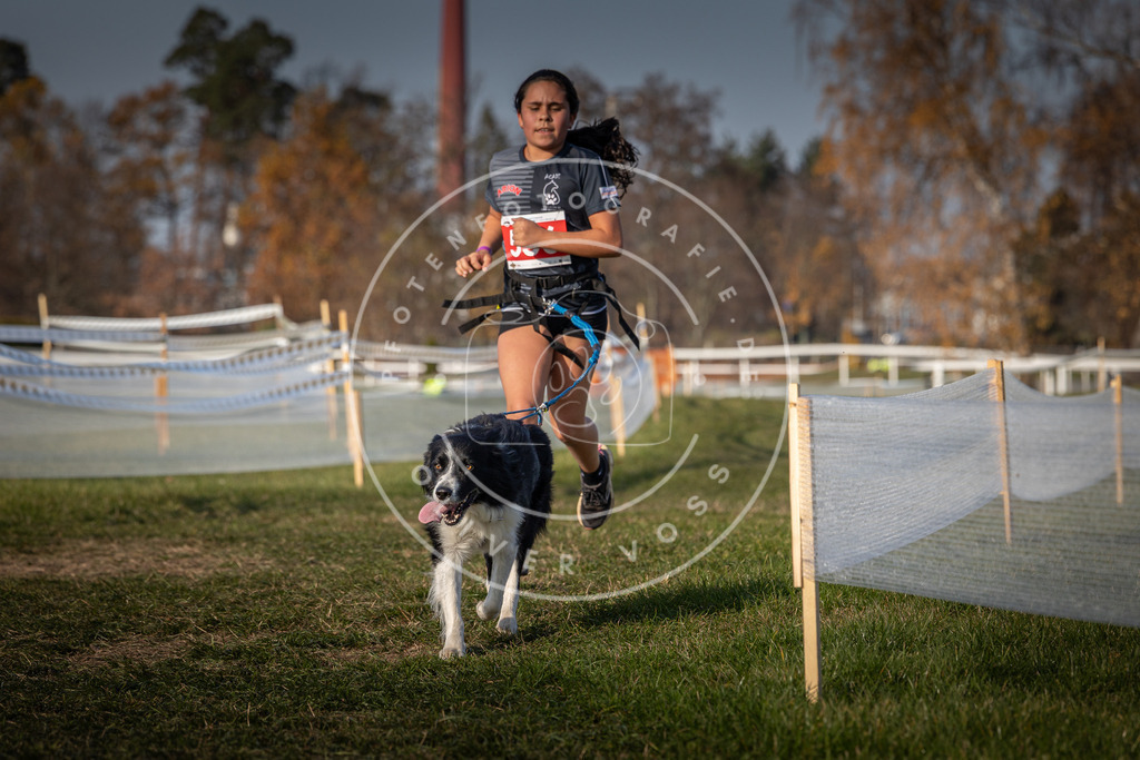 CaniXpix_0L8A9413 | Hundefotografie, Tierfotograf, Pfotenfotografie, Fotoshooting Hund, Hunde Portrait, Hundesport, Hundeportraits, Heideshooting, Hunde, Sportfotograf, Hundefotograf, Turnierhundsport, THS,  - Realisiert mit Pictrs.com