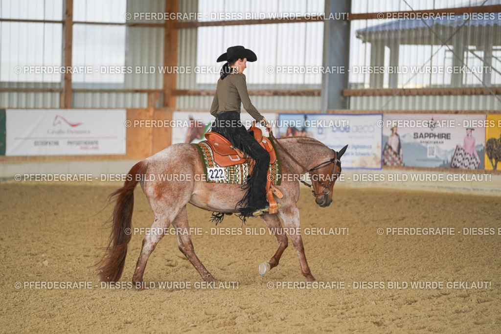 DSC09206 | Pferdegrafie