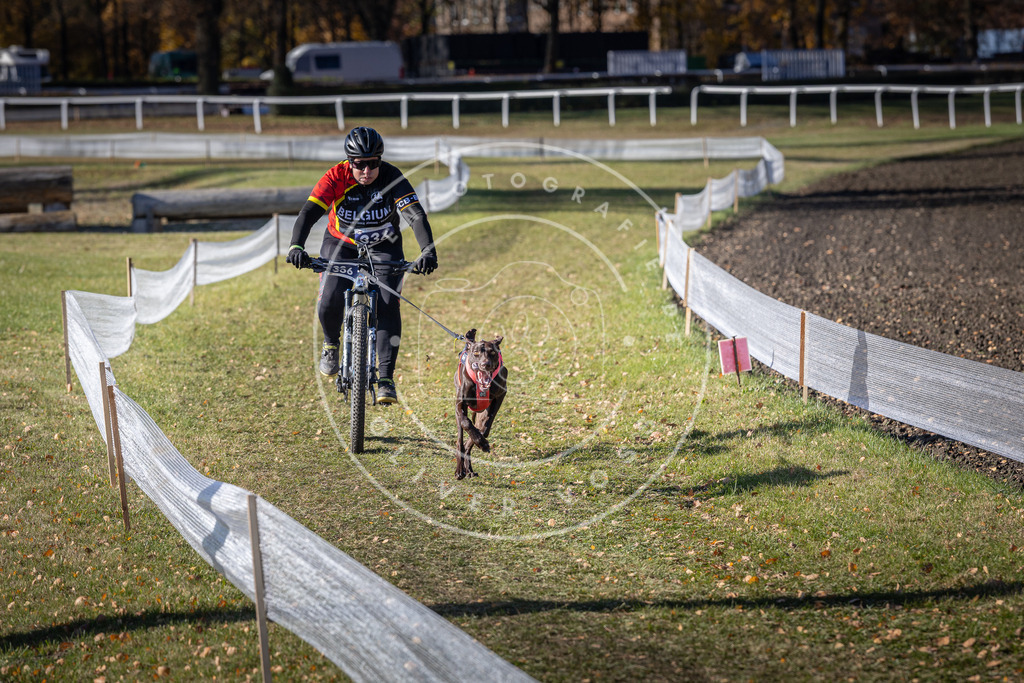 CaniXpix_DV3A6835 | Hundefotografie, Tierfotograf, Pfotenfotografie, Fotoshooting Hund, Hunde Portrait, Hundesport, Hundeportraits, Heideshooting, Hunde, Sportfotograf, Hundefotograf, Turnierhundsport, THS,  - Realisiert mit Pictrs.com