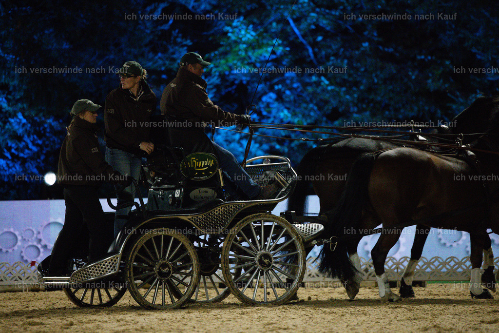 FHClassics-282 | working equitationturnier fotograf videograf stoibphotography marixx film working equitation deutschland reitsport turnierfotografie eventfotografie equestrian events