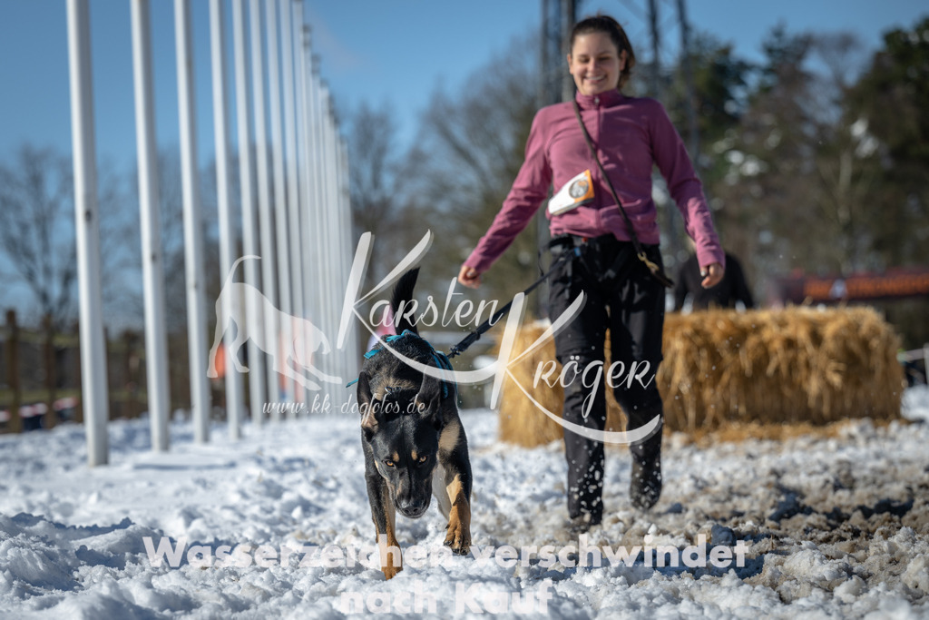 1223_ZZ92445-4 | kk-dogfotos