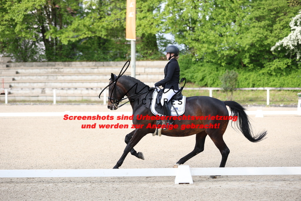 A40A3167 | lmwpictures - Realisiert mit Pictrs.com