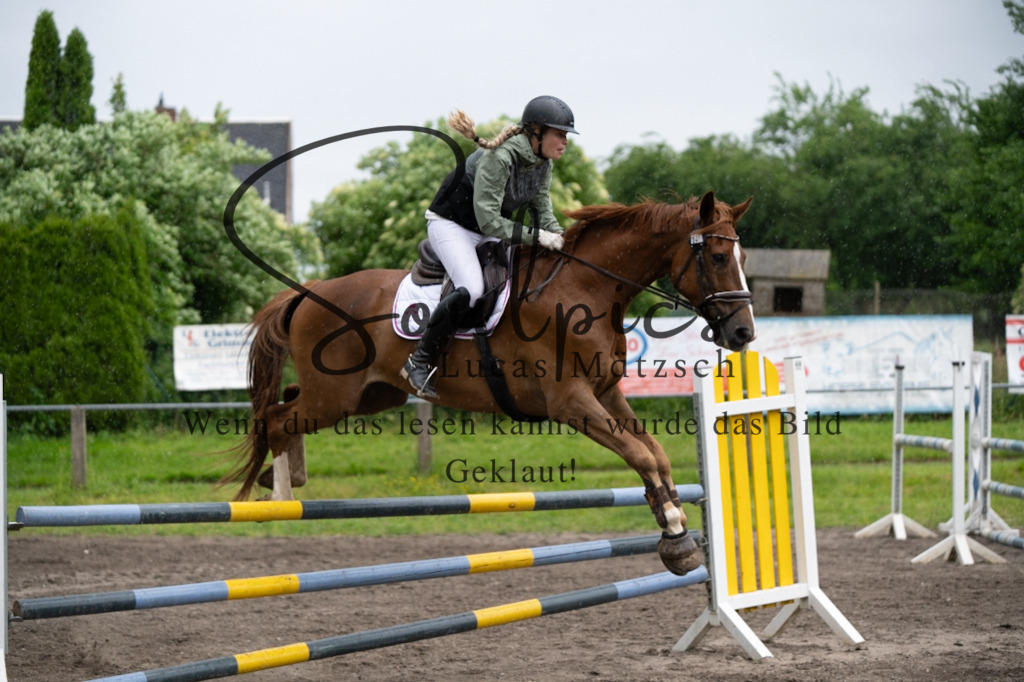 A7V05029 | Pferdefotograf