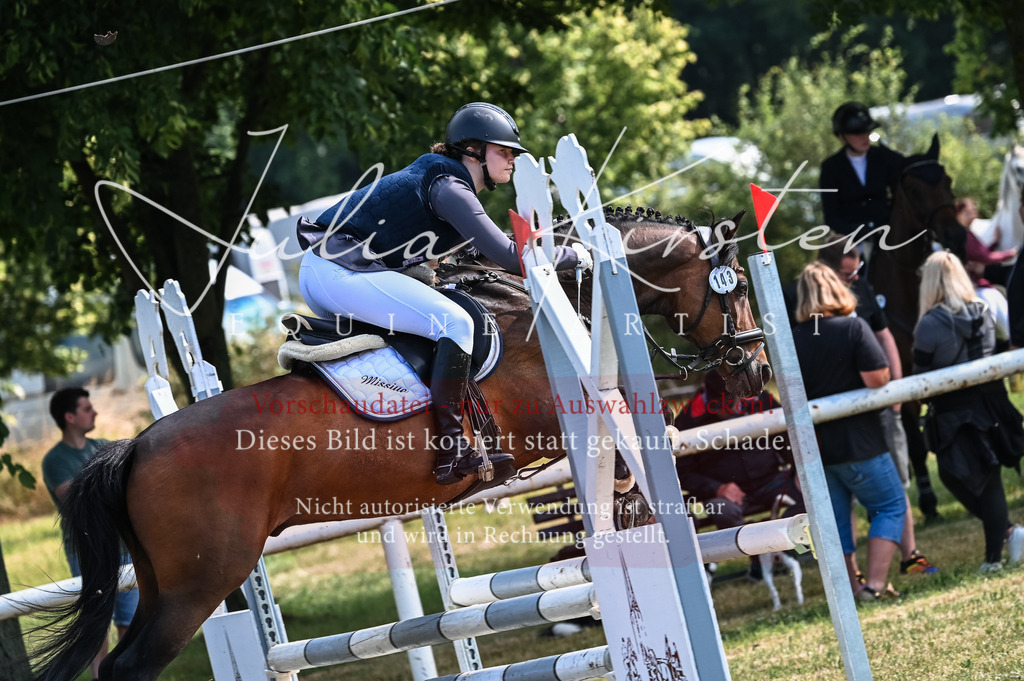 DSC_8000 | Pferde- und Turnierfotografie in Westsachsen. Pferdeportraits, Auftragszeichnungen und intuitive Kunst.