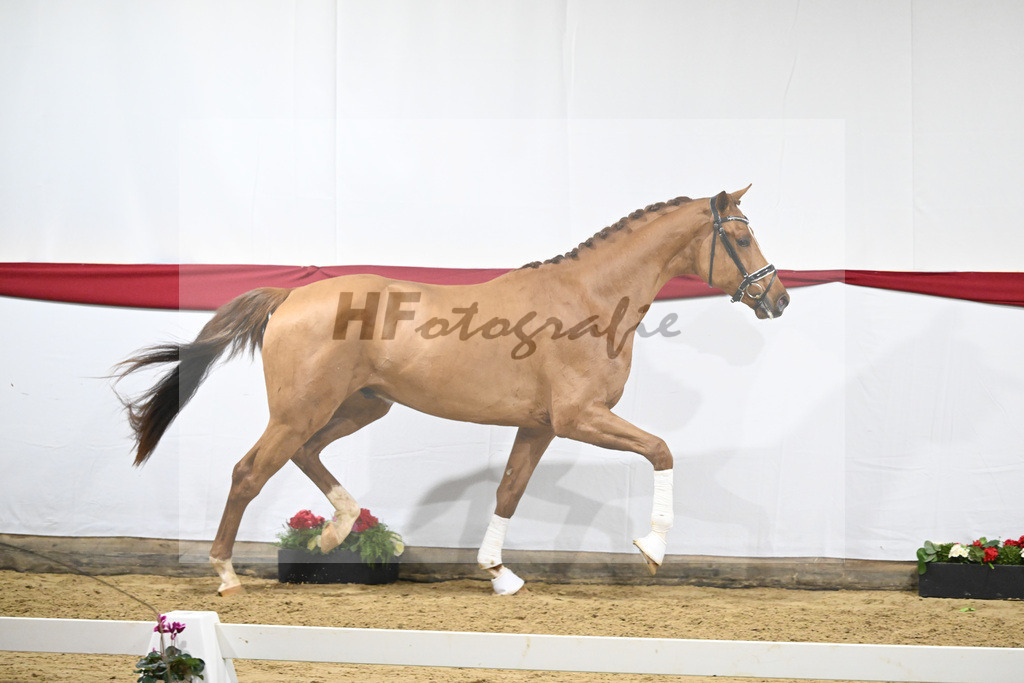 Kat-Nr. 52 v. Vivino_ZG Syha u Winkler_63221466 | hf-fotografie - Realizzato con Pictrs.com