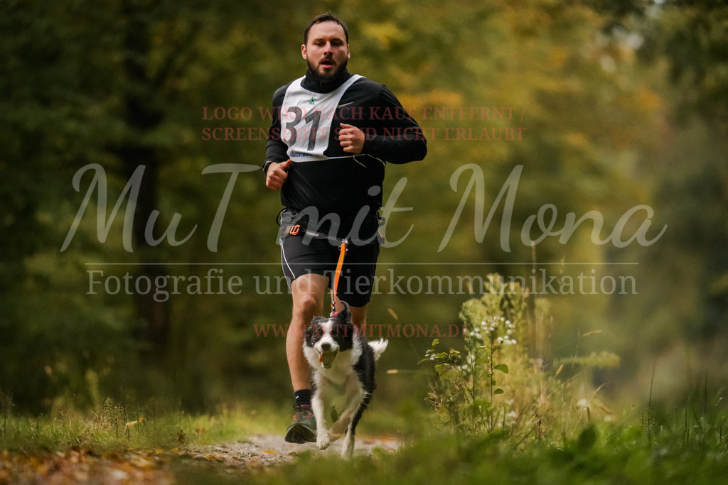 20251005_THS_Turnier-24 | MuT (Mensch und Tier) mit Mona - Fotografie und Tierkommunikation - Realisiert mit Pictrs.com