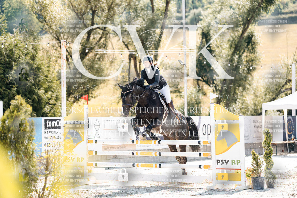 CK908117 | Turnierfotografie Pferdefotografie Trier Rheinland-Pfalz Pferdesport Reitsport Tierfotografie Sportfotografie Pferdevideo Pferdevideografie Equestrianvideography equestrianphotography  - Realisiert mit Pictrs.com