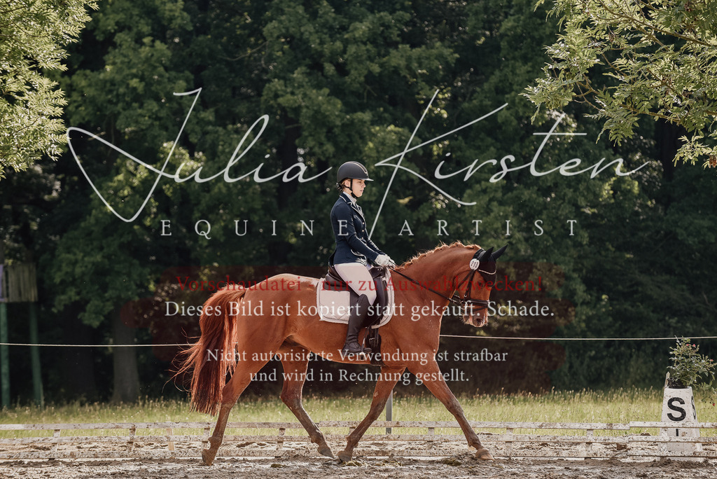 DSC_8941 | Pferde- und Turnierfotografie in Westsachsen. Pferdeportraits, Auftragszeichnungen und intuitive Kunst.